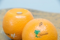 263_flordiapopartnavelorangesaltpepper--003.jpg